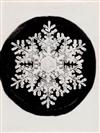 BENTLEY, WILSON A. (1865-1931) Suite of 4 photographs of snow crystals.